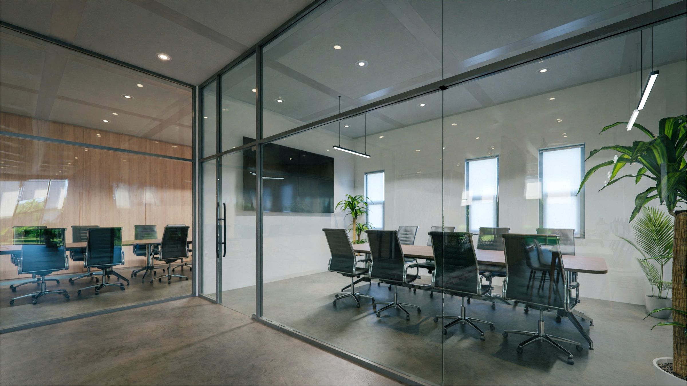 Glass-walled meeting rooms